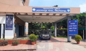 Elderly Man Stabbed to Death Over Rice Straw Dispute in Hossainpur; 3 Detained